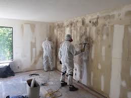 Best Emergency Mold Remediation  in Montour Falls, NY